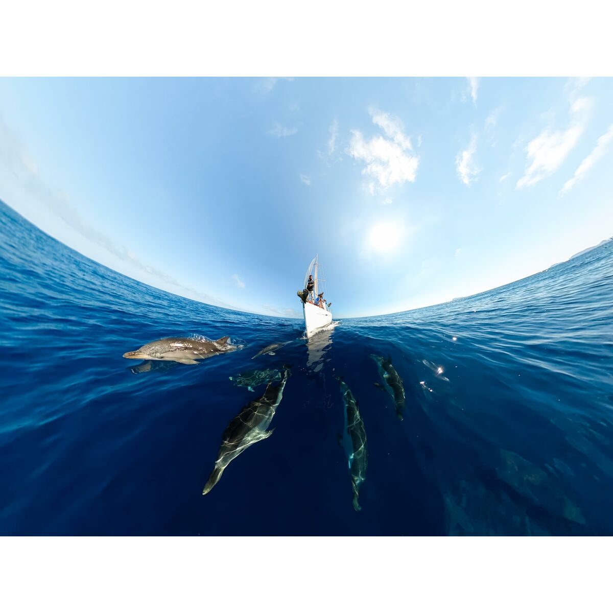 GoPro • MAX 360 Actioncamera